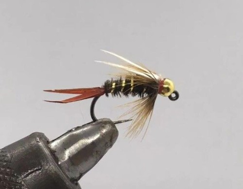 Tungsten beadhead jig - jig, prince